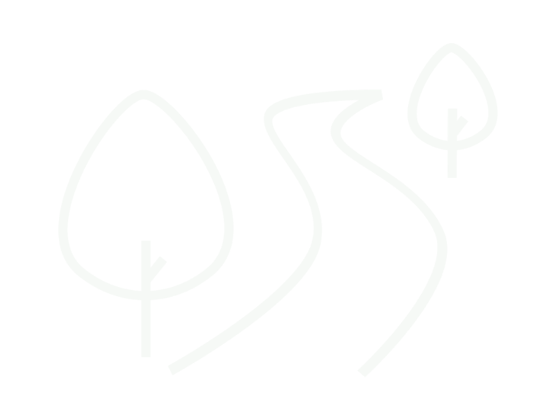 tf_tss_forest_icon_F6F9F6_400x300_20260201